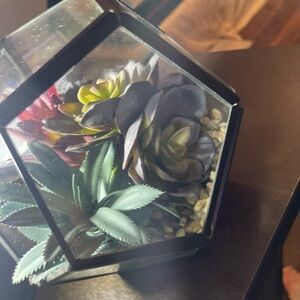 Geometric Glass Terrarium with succulents